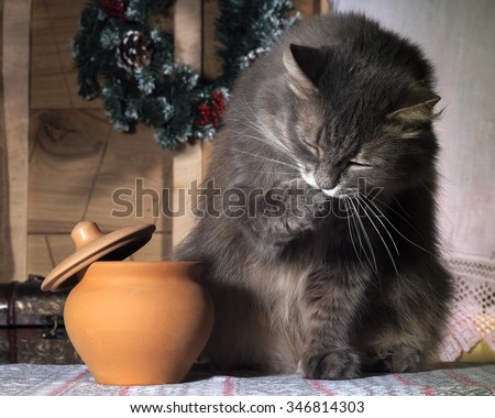 The cat sits next to a pot with a delicious meal in the rustic kitchen. The cat is hungry and is going to steal food. cat thinking how to get the food out of the pan.