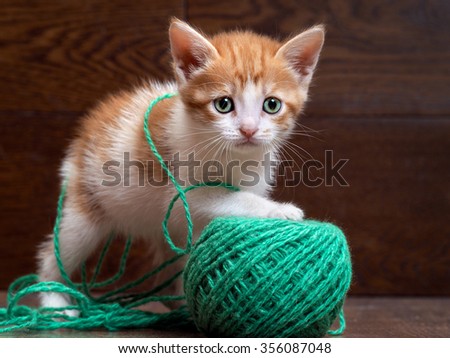 Cute little kitten with thread ball. Little kitten playing with a large ball of green wool yarn. Kitten green eyes. Kitten color, white with red fluffy. Sad eyes. Kitten small cute. Kitten 1 month