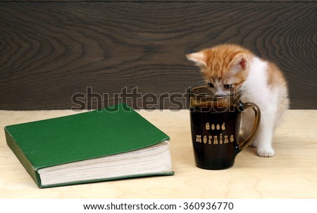 The kitten, a cup of coffee or black tea, the book and the words \