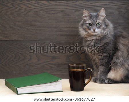 Cat, book, mug. The big gray cat with green eyes. The Green Book. Dark mug with coffee or tea. Wood, dark board. Still life with a cat