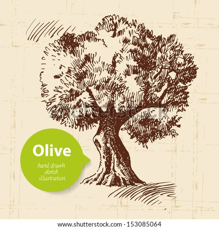Vintage olive background Hand drawn illustration Vintage olive background Hand drawn illustration