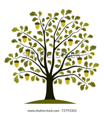 Vector Oak Tree On White Background - 73793302 : Shutterstock