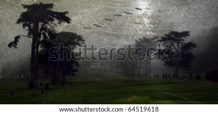 Eerie landscape with trees, birds, fog and lots of grunge