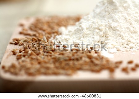 whole grain flour