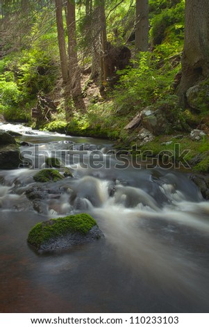 The river runs over boulders in the primeval forest