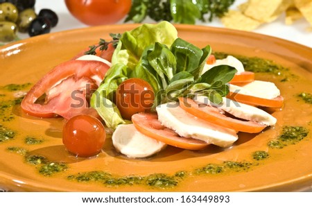Mozzarella dish with tomato, lettuce and spinach
