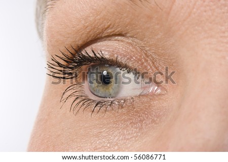 stock photo : Beautiful female eye without makeup