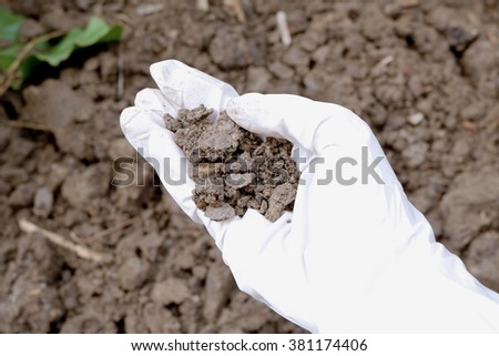 soil on hand which wears a white rubber medical glove with soil ground background