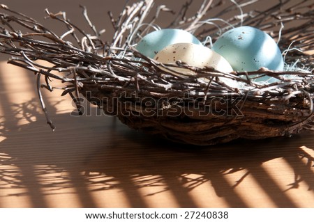 Colorful Easter eggs in twig nest, on wooden surface. Light by sunshine shining through horizontal blinds.