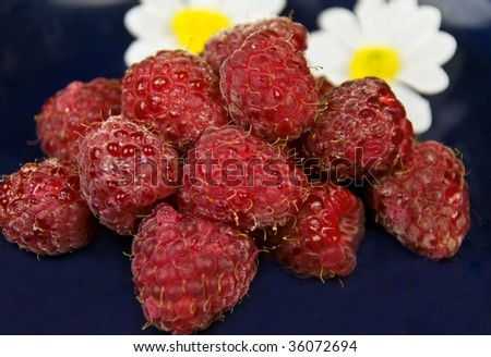 Red Raspberry with Flowers