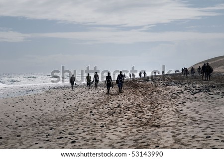 people walking on the beach. stock photo : People walking