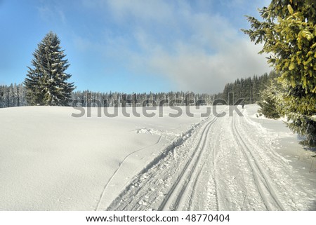 track of cross-country ski in winter country