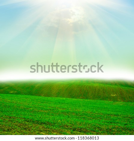 Green field at the sunset