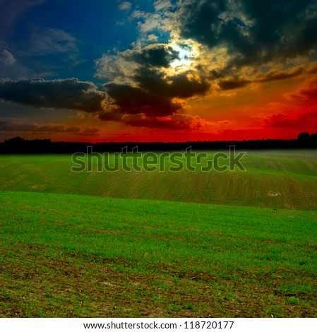 Green field at the sunset