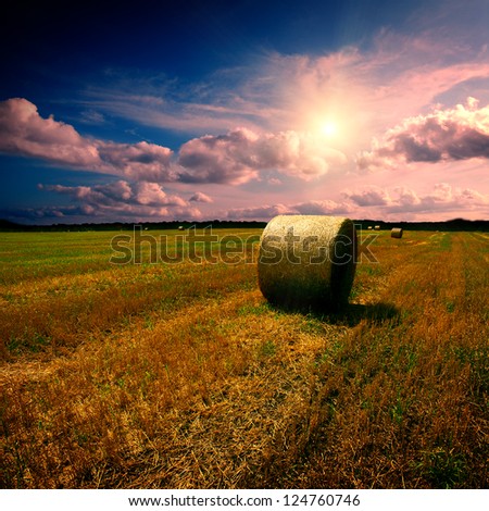 Straw bales on field with blue cloudy sky