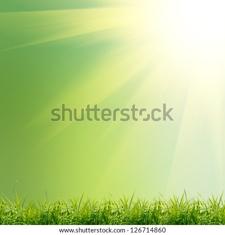 green nature background with grass