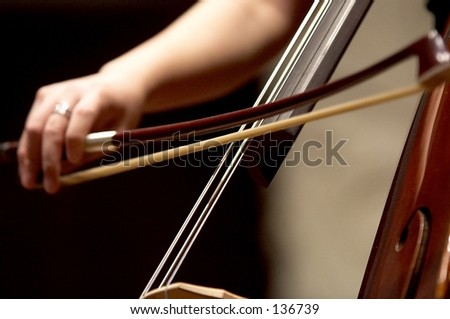 A double bassist at work