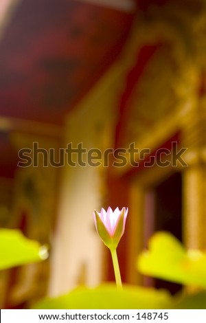 Lotus Flower Temple