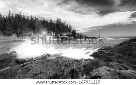 Crushing wave in Acadia national park, in black and white with cloudy sky