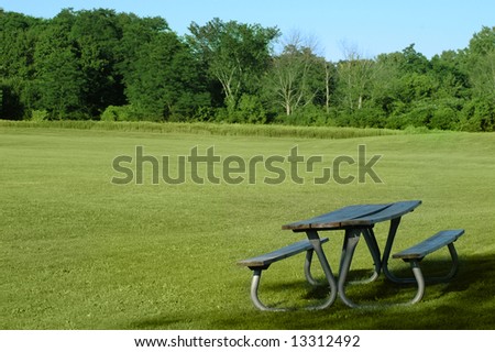 picnic table on the foreground and trees and grass field on the background