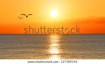 Sunset over an ocean