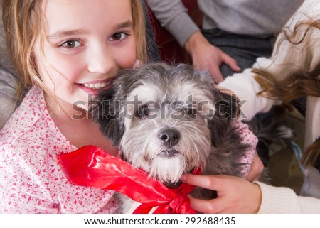 Little Girl with New Puppy. She is smiling at the Camera and the Small Grey Dog has a Ribbon around its Neck.