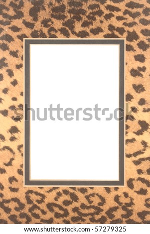 Frame made with animal skin texture