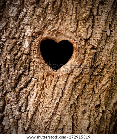 Heart-shaped bird nest in hollow tree trunk