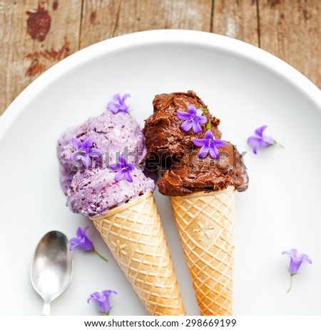 Healthy blueberry and cocoa vegan icecream,  sugar and dairy free