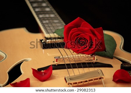 Red rose lying on the strings of acoustic guitar