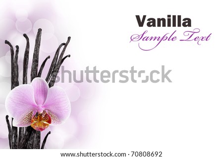 Vanilla beans and orchid flower against bokeh background