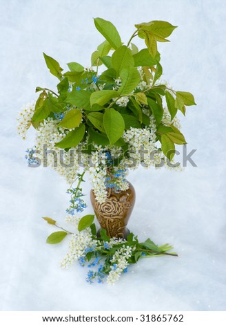 Bouquet of a bird cherry and forget-me-not in a clay vase