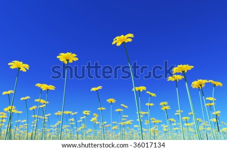 3D render - yellow flowers field with view form below; high quality depth of field effect (lens blur; DOF)