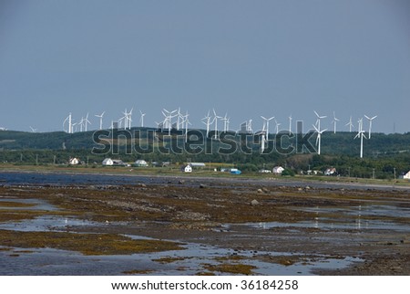 wind farm on coast