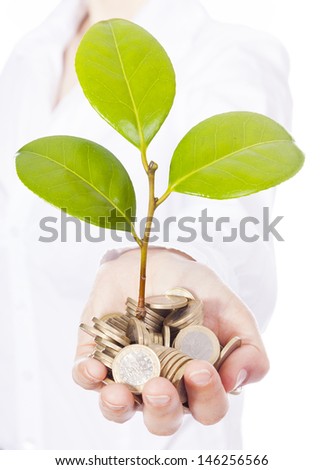 Green plant sprouting from a hand with money, isolated on white