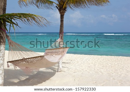 Idyllic Beach With Coconut Trees And Hammock At Mexico