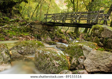 Autumn forest with wood bridge over creek in yellow maple forest at Geres National Park, Portugal
