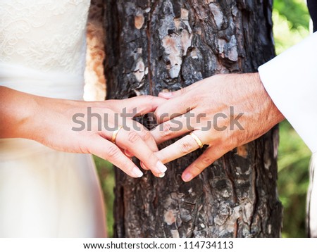 Wedding rings on hands newlyweds on background of wood