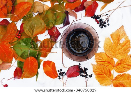 Brown cup with fresh green tea. Cup of tea on a white background,  top view,many  colourful autumn leaves, cup of tea surrounded by autumn leaves. Autumn background. Yellow  leaves. Herbal tea.