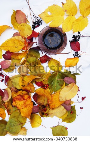 Brown cup with fresh green tea. Cup of tea on a white background,  top view,many  colourful autumn leaves, cup of tea surrounded by autumn leaves. Autumn background. Yellow and green leaves. Herbal