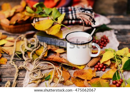 Warm knitted scarf and a book on a wooden tray. Peaceful Fall Fruit, Leaf, Acorn Still Life on Rustic . autumn still life with a cup of tea. Cup of tea with autumn leaves reflection on book