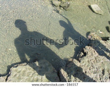 Shadows in the water