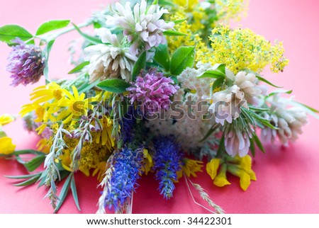 beautiful bouquet of field flowers