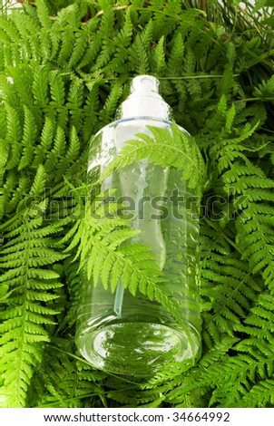 Tonic Water in the  Fern Leaf