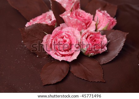 chocolate cake decorations. Decoration chocolate cake