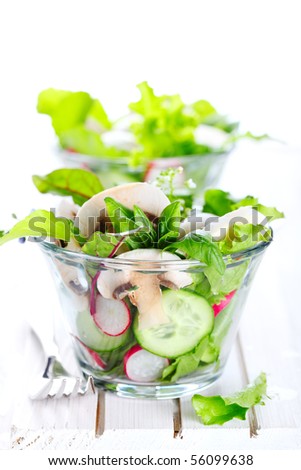 Fresh salad with radishes, mushrooms and cucumbers on a white isolated background