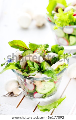 Fresh salad with radishes, mushrooms and cucumbers