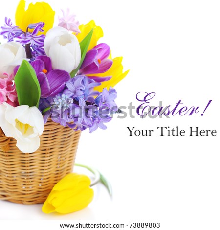 Bouquet of spring flowers on white isolated  background