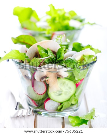 Fresh salad with radishes, mushrooms and cucumbers on a white isolated background