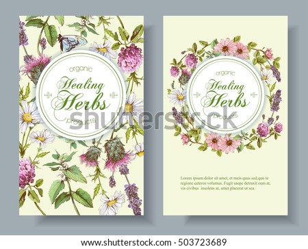 Vector wild flowers and herbs vertical banner. Design for herbal tea, natural cosmetics, honey, health care products, homeopathy, aromatherapy. With place for text